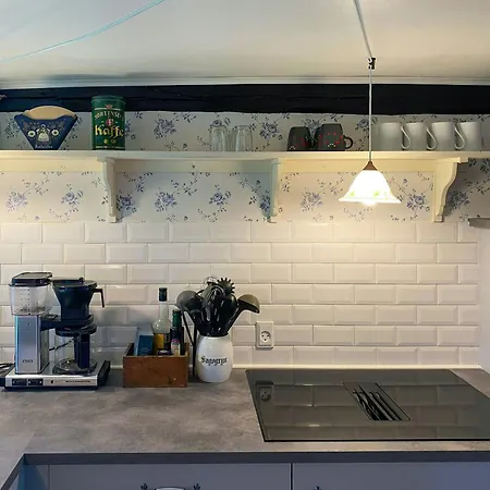 Thatched From 1877 On Langeland *