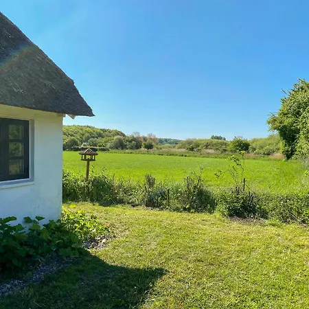 Thatched From 1877 On Langeland