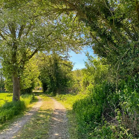 Ferienhaus Thatched From 1877 On Langeland Nordenbro Vesteregn