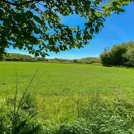 Ferienhaus Thatched From 1877 On Langeland Nordenbro Vesteregn