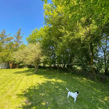Ferienhaus Thatched From 1877 On Langeland Nordenbro Vesteregn